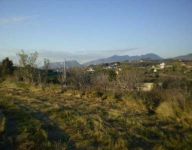 Terrain 11974m²