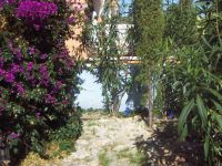 photo de l'annonce I-2207917 Appartement