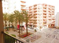 T3 55m²