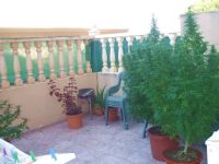 photo de l'annonce I-2227921 Appartement
