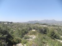 photo de l'annonce I-2646563 Terrain