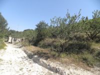 photo de l'annonce I-2646563 Terrain